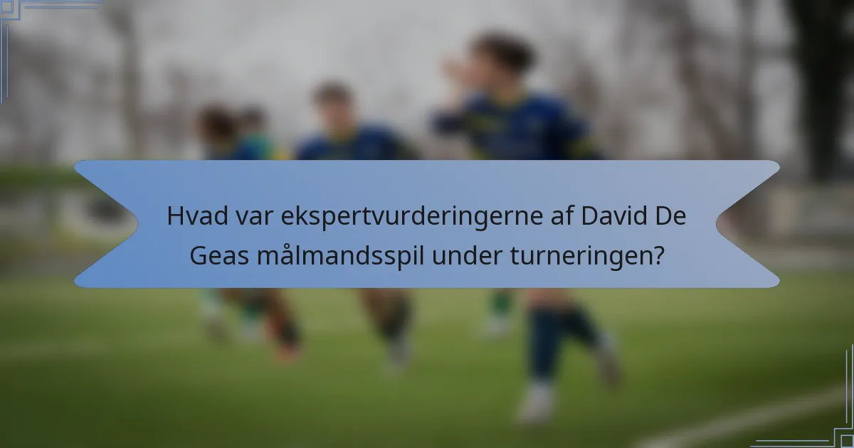 Hvad var ekspertvurderingerne af David De Geas målmandsspil under turneringen?