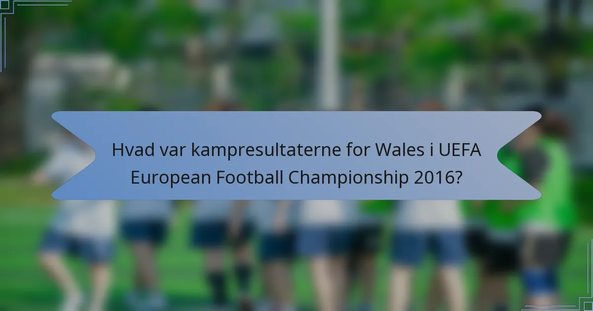 Hvad var kampresultaterne for Wales i UEFA European Football Championship 2016?